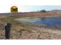 fazenda-3208-hectares-plana-georreferenciada-oportunidade-no-pi-small-4