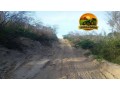 fazenda-3208-hectares-plana-georreferenciada-oportunidade-no-pi-small-3