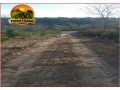 fazenda-3208-hectares-plana-georreferenciada-oportunidade-no-pi-small-0
