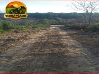 fazenda-3208-hectares-plana-georreferenciada-oportunidade-no-pi