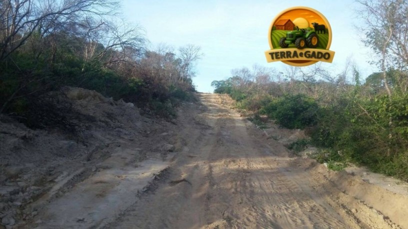 fazenda-3208-hectares-plana-georreferenciada-oportunidade-no-pi-big-3