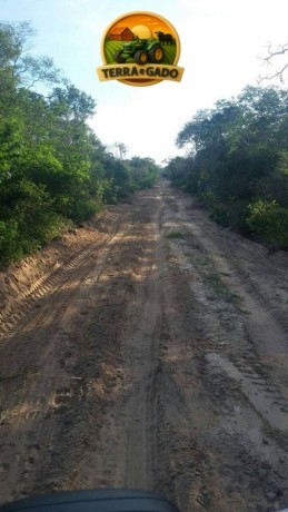 fazenda-3208-hectares-plana-georreferenciada-oportunidade-no-pi-big-2