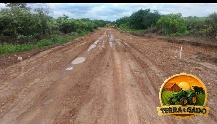 fazenda-3208-hectares-plana-georreferenciada-oportunidade-no-pi-big-1