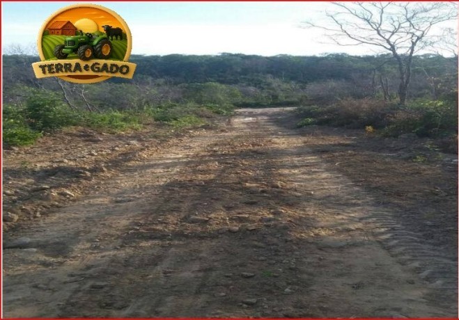 fazenda-3208-hectares-plana-georreferenciada-oportunidade-no-pi-big-0