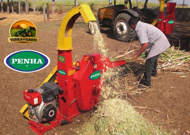 picadora-de-forragens-penha-pp-50-pp-60-ou-pp-70-nova-cana-capim-milho-e-sorgo-big-3