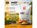suplemento-mineral-phos-cromo-dry-40-cromo-organico-resistente-a-chuva-saco-30-kg-small-0