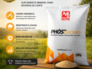 suplemento-mineral-phos-cromo-dry-40-cromo-organico-resistente-a-chuva-saco-30-kg
