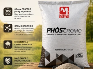 suplemento-mineral-phos-cromo-dry-65-cromo-organico-resistente-a-chuva-saco-30-kg