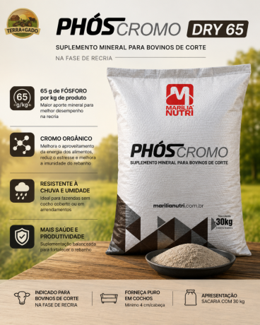 suplemento-mineral-phos-cromo-dry-65-cromo-organico-resistente-a-chuva-saco-30-kg-big-0