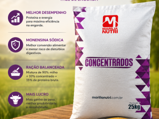 concentrado-10-para-bovinos-de-corte-80-proteina-bruta-sacaria-25-kg
