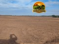 fazenda-500-hectares-plana-pastagem-formada-centenario-to-small-0