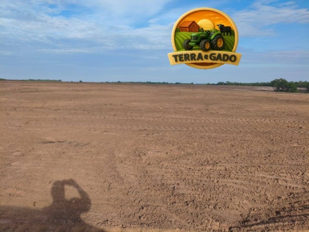fazenda-500-hectares-plana-pastagem-formada-centenario-to-big-0