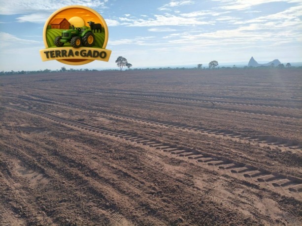 fazenda-500-hectares-plana-pastagem-formada-centenario-to-big-1