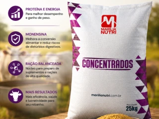 concentrado-pro-mais-para-bovinos-de-corte-cromo-organico-monensina-sacaria-25-kg