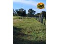 fazenda-375-alqueires-natividade-to-agua-abundante-small-2
