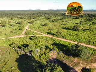 fazenda-375-alqueires-natividade-to-agua-abundante