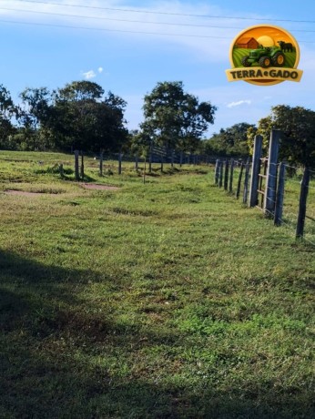 fazenda-375-alqueires-natividade-to-agua-abundante-big-2