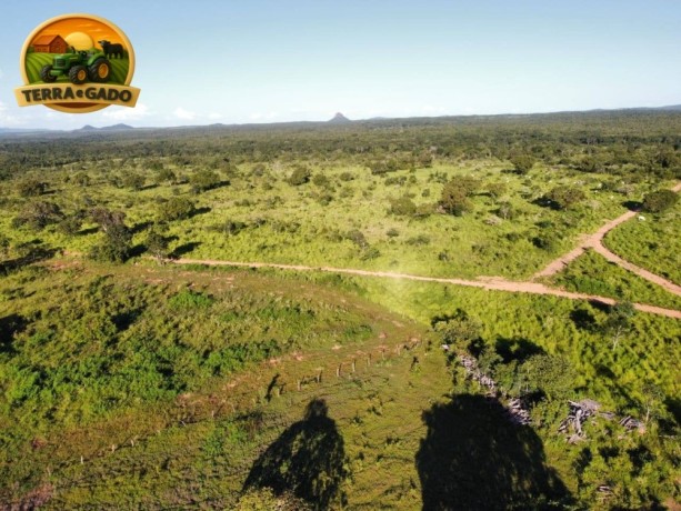 fazenda-375-alqueires-natividade-to-agua-abundante-big-3