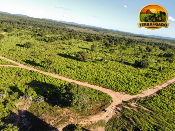 fazenda-375-alqueires-natividade-to-agua-abundante-big-4