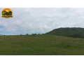 arrendamento-de-fazenda-para-pecuaria-500-alqueires-capacidade-para-2000-vacas-regiao-de-ipora-go-small-1