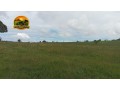 arrendamento-de-fazenda-para-pecuaria-500-alqueires-capacidade-para-2000-vacas-regiao-de-ipora-go-small-4