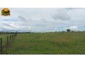 arrendamento-de-fazenda-para-pecuaria-500-alqueires-capacidade-para-2000-vacas-regiao-de-ipora-go-small-3