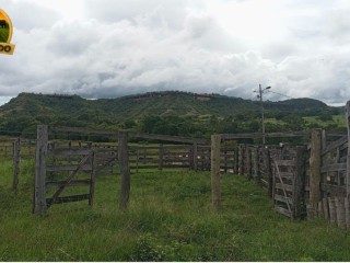 arrendamento-de-fazenda-para-pecuaria-500-alqueires-capacidade-para-2000-vacas-regiao-de-ipora-go