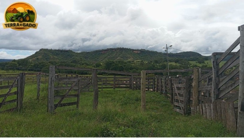 arrendamento-de-fazenda-para-pecuaria-500-alqueires-capacidade-para-2000-vacas-regiao-de-ipora-go-big-0