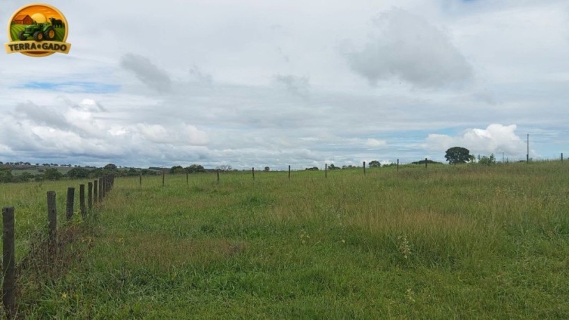 arrendamento-de-fazenda-para-pecuaria-500-alqueires-capacidade-para-2000-vacas-regiao-de-ipora-go-big-3