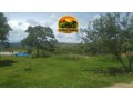 fazenda-a-venda-com-1100-hectares-serra-bonita-mg-potencial-para-pecuaria-e-agricultura-descricao-small-1
