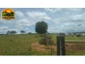fazenda-a-venda-com-1100-hectares-serra-bonita-mg-potencial-para-pecuaria-e-agricultura-descricao-small-0