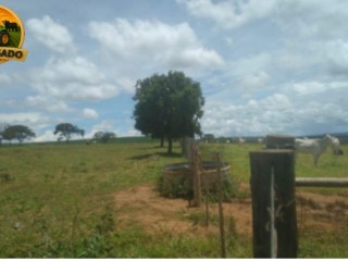 fazenda-a-venda-com-1100-hectares-serra-bonita-mg-potencial-para-pecuaria-e-agricultura-descricao