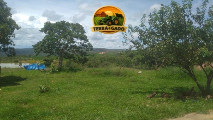 fazenda-a-venda-com-1100-hectares-serra-bonita-mg-potencial-para-pecuaria-e-agricultura-descricao-big-1