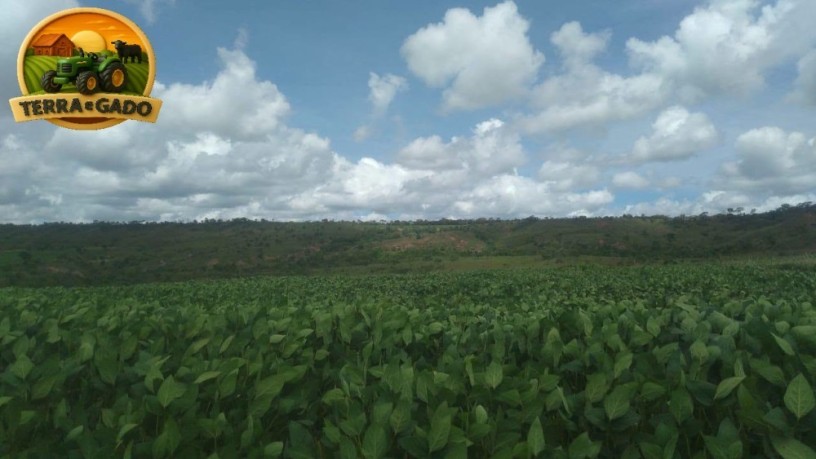fazenda-a-venda-com-1100-hectares-serra-bonita-mg-potencial-para-pecuaria-e-agricultura-descricao-big-4