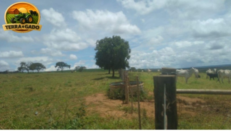 fazenda-a-venda-com-1100-hectares-serra-bonita-mg-potencial-para-pecuaria-e-agricultura-descricao-big-0