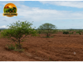 fazenda-a-venda-1890-hectares-buritirama-ba-pecuaria-e-agricultura-small-0