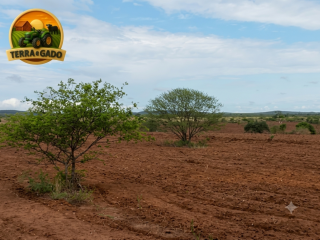 fazenda-a-venda-1890-hectares-buritirama-ba-pecuaria-e-agricultura