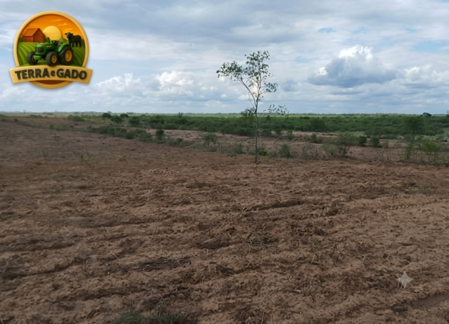 fazenda-a-venda-1890-hectares-buritirama-ba-pecuaria-e-agricultura-big-1