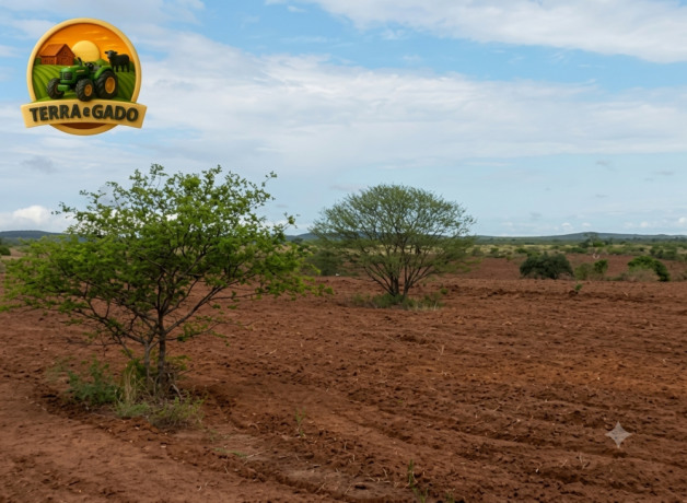 fazenda-a-venda-1890-hectares-buritirama-ba-pecuaria-e-agricultura-big-0