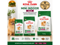 racao-royal-canin-mini-indoor-adult-para-caes-adultos-de-pequeno-porte-1-kg-25-kg-e-75-kg-small-0