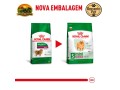 racao-royal-canin-mini-indoor-adult-para-caes-adultos-de-pequeno-porte-1-kg-25-kg-e-75-kg-small-1