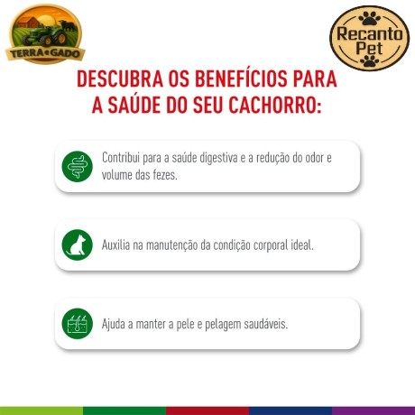 racao-royal-canin-mini-indoor-adult-para-caes-adultos-de-pequeno-porte-1-kg-25-kg-e-75-kg-big-2