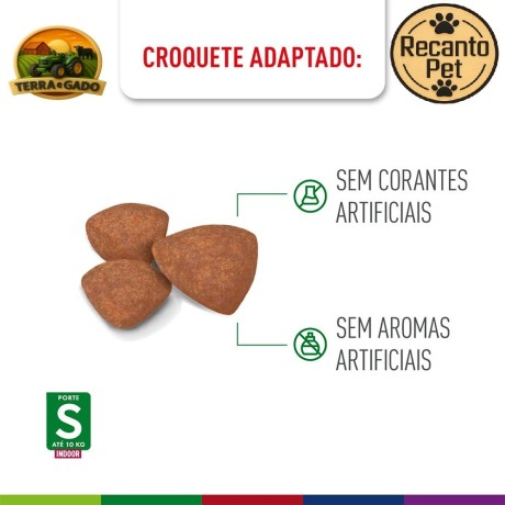 racao-royal-canin-mini-indoor-adult-para-caes-adultos-de-pequeno-porte-1-kg-25-kg-e-75-kg-big-4