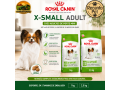 racao-royal-canin-x-small-adult-para-caes-adultos-de-porte-mini-1-kg-e-25-kg-small-0