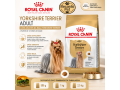 racao-royal-canin-yorkshire-terrier-adult-para-caes-adultos-500-g-1-kg-e-25-kg-small-0