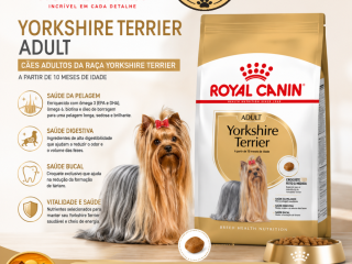 racao-royal-canin-yorkshire-terrier-adult-para-caes-adultos-500-g-1-kg-e-25-kg