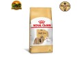 racao-royal-canin-shih-tzu-adult-para-caes-adultos-1-kg-25-kg-e-75-kg-small-0