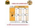 racao-royal-canin-shih-tzu-adult-para-caes-adultos-1-kg-25-kg-e-75-kg-small-2