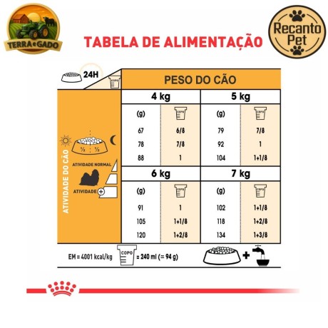 racao-royal-canin-shih-tzu-adult-para-caes-adultos-1-kg-25-kg-e-75-kg-big-2
