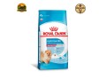 racao-royal-canin-mini-indoor-puppy-para-filhotes-de-caes-de-pequeno-porte-500-g-1-kg-e-25-kg-small-0